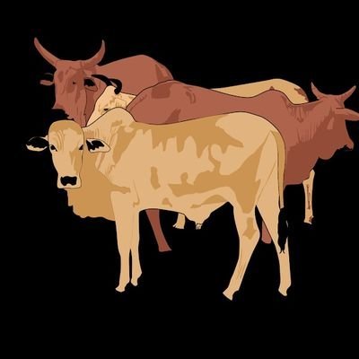Dipl. Ing MkenyaDaima | Bongani🇿🇦 | Mamba 🇹🇿|'s profile picture