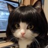 Profilbild von BυттҽЯ 〜♡