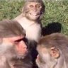 Harry Speak Up's profile picture
