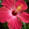 Фото профиля Tilly Prather