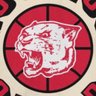 Фото профиля Cougar Guardian
