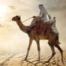 Profilbild von رايق وفايق