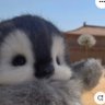 violet's profile picture
