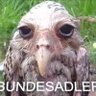 Profilbild von Andrê Meinung