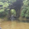 くまねこ 的头像