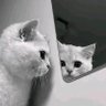 nkhnaaa profil fotoğrafı