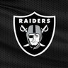 Raider4Life profil fotoğrafı