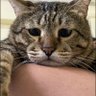 Profilbild von สายฝน เขื่อนโพธิ์