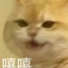 Profilbild von 乳酸菌消消乳os