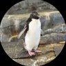 るかな 的头像