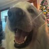 Don's profile picture