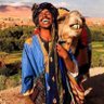 سلطان's profile picture