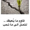 Profilbild von د . عيسا