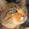 Profilbild von Elizabeth