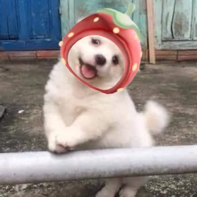 wishmytreechan's profile picture