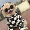 Profilbild von Jerry