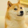 Coinfree 的头像