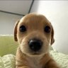 Henry profil fotoğrafı
