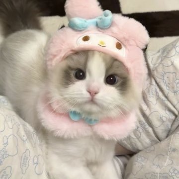 summerrainnny's profile picture