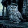 𝕏one - exo/acc 🧙🏽‍♂️🎨 profil fotoğrafı