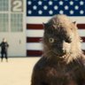 Фото профиля THE ENTIRE UNITED STATES 🇺🇸