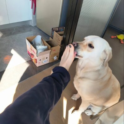DavidChapm82376's profile picture