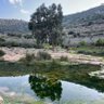 יונה פלס profil fotoğrafı