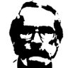 Adi Shevach's profile picture