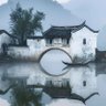 qingcheng's profile picture