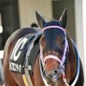 ジェームズ・ボンド's profile picture