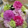 Фото профиля 珠華(シュカ)1人目妊活