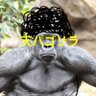 Фото профиля 1000%ゴリラ(天パゴリラ)🦍✨