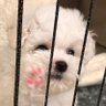 돌's profile picture