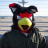 SARB the wolf～サーブ～～⇒Next ちるこん profil fotoğrafı