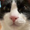 かじゅまお🫶 profil fotoğrafı