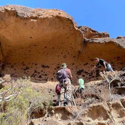 GeoTenerife's profile picture