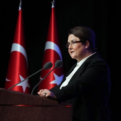 deryayanikashb's profile picture