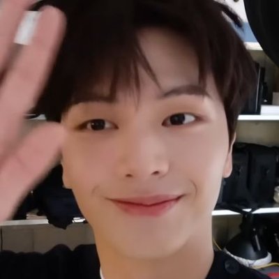 🦊이레's profile picture