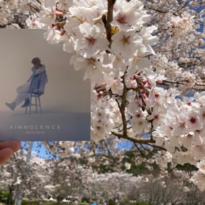 12kyoko251's profile picture