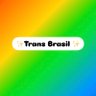 Profilbild von trans brasil