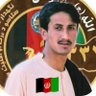 Zabi Arman's profile picture