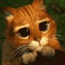 NuPoony's profile picture