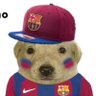 Profilbild von Jar
