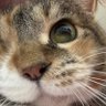 ゆこくま profil fotoğrafı