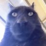 Epicdude profil fotoğrafı