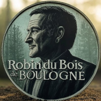 Robin du Bois de Boulogne's profile picture