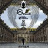 Avian 的头像