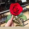 mimi☆xj☆ 的头像