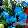 永遠に💙翔太君尊し💙なおぴん🥊 profil fotoğrafı