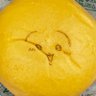 HiKARU(転生アカウント) profil fotoğrafı